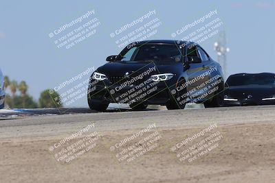 media/Oct-04-2025-OnGrid (Sat) [[44bd565ffa]]/Purple Group/Grapevine/